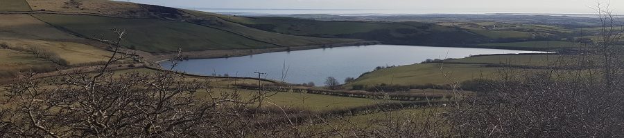 Pennington Reservoir